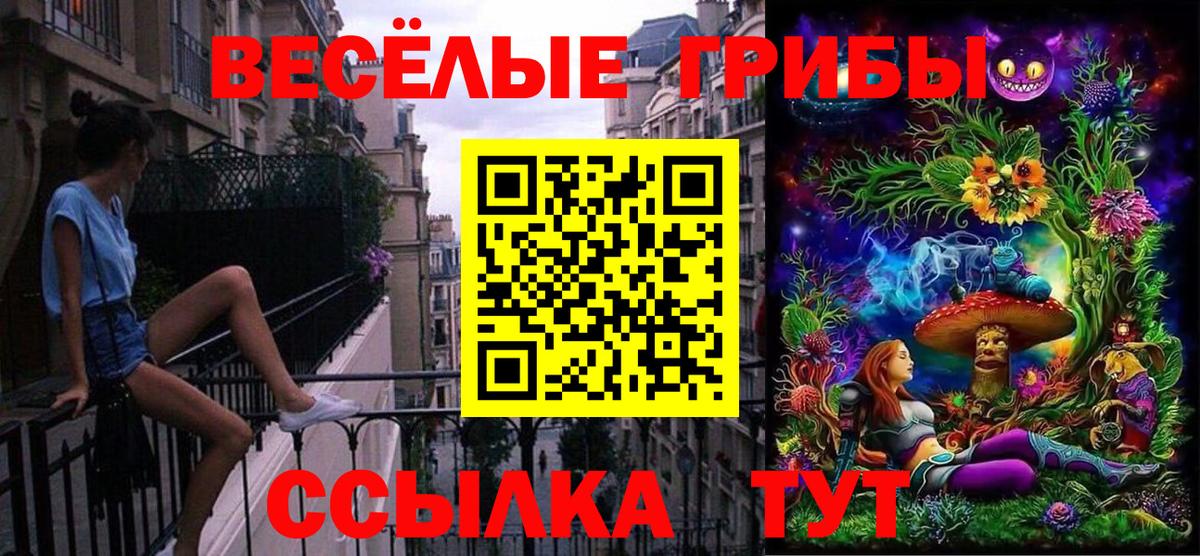 Псилоцибиновые грибы мухоморы Гай