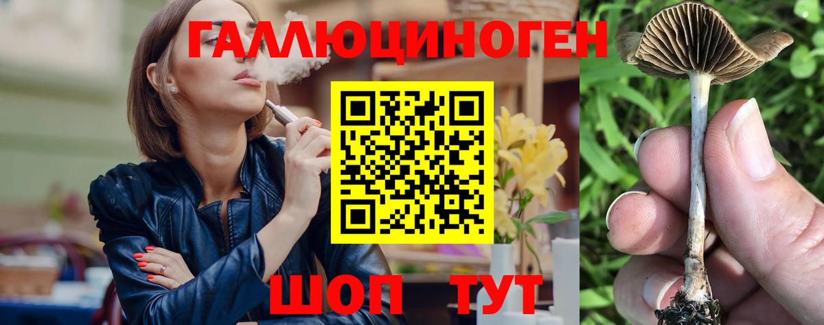 Галлюциногенные грибы мицелий  Галлюциногенные грибы MAGIC MUSHROOMS  Гай  Вход с VPN 