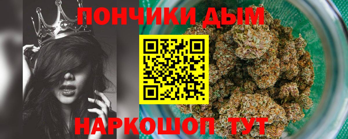 Каннабис планчик Гай